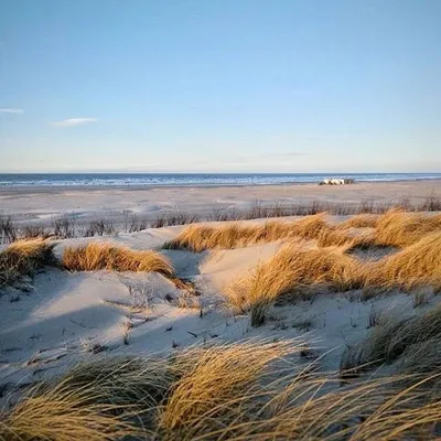 Norderney profile