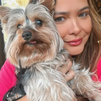 Geisy Arruda Instagram profile photo