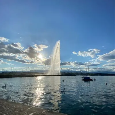 Geneva_soul profile