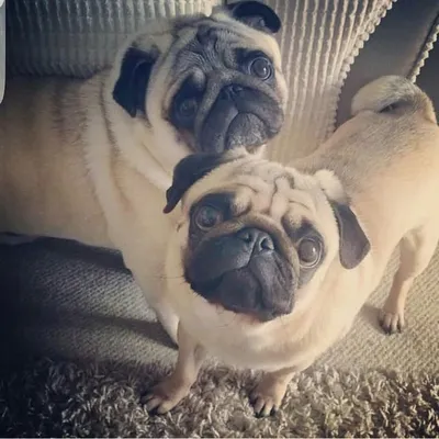 💙George & Teddy💙 profile