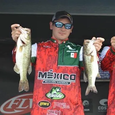 Gerardo Ibarra Jr. profile