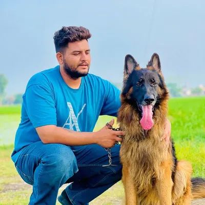 Germanshepherd Worlds profile