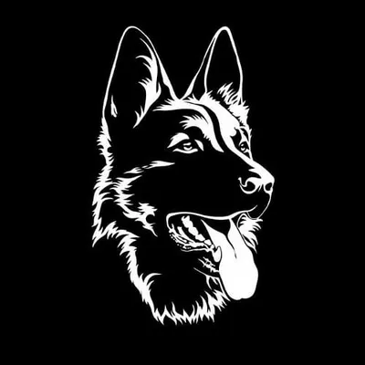 Trained German shephards profile