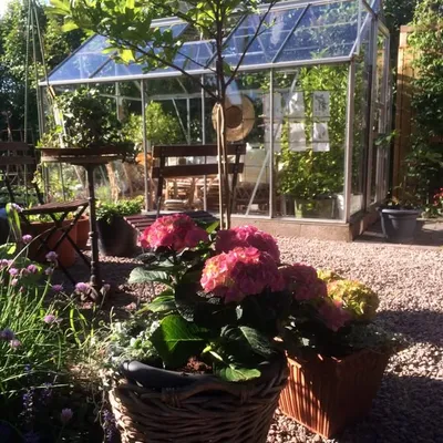 Välkommen till Gertruds rum! 🌿 profile