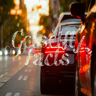 Getsetfly Facts profile