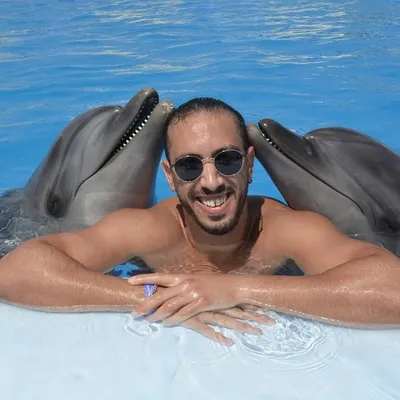Mebarek Ghaoui profile