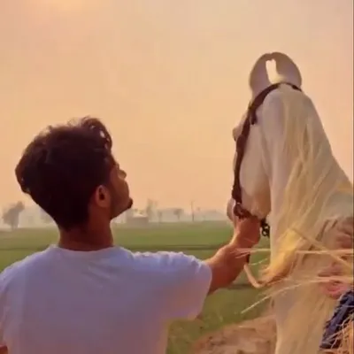 ਘੋੜੀਆਂ ਵਾਲੇ profile