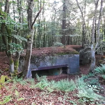 Ghost of the Westwall profile