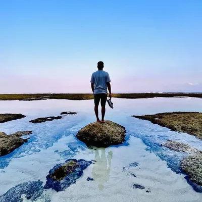 Vaibhav Mantri profile