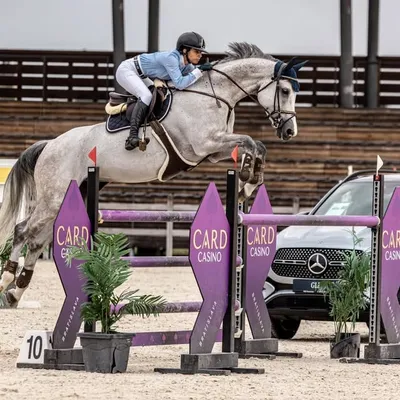 ๐บ๐๐๐๐ ๐น๐๐๐๐โ๐๐๐ profile