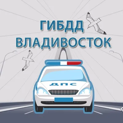 🚔ГИБДД Владивостока🚔 profile