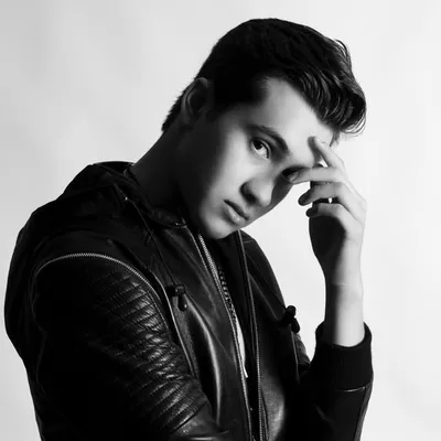 GIBI profile
