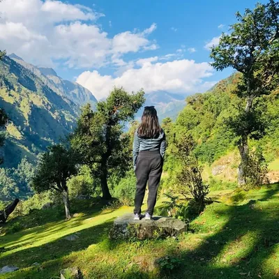 Navni profile