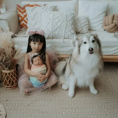 Giselle, Gracia and Dumbo profile