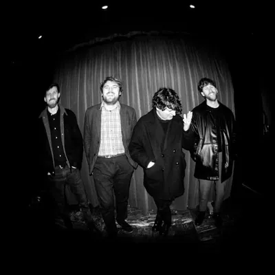 Gilla Band profile