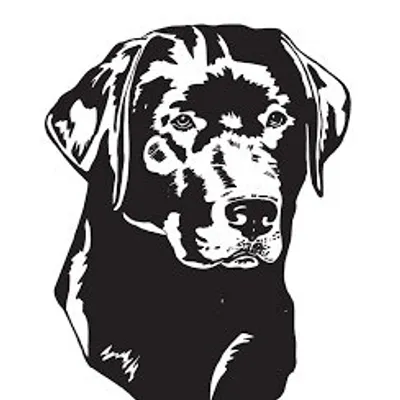Give Labs all the love ๐ profile
