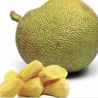 JackFruit profile