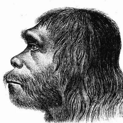 Globetrotter sapien profile
