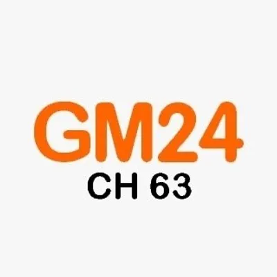 GM24 profile
