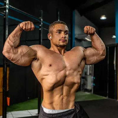 Guilherme Araujo profile