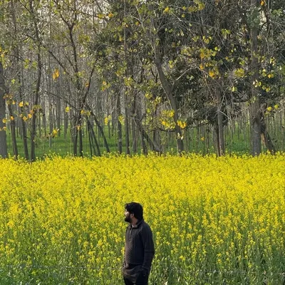 Gourav Gill profile