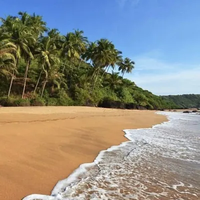 All About Goa, India profile