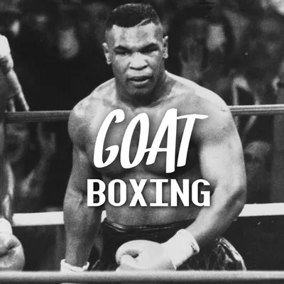 Anthony Joshua Jake Paul profile