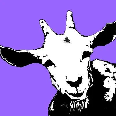Goathouse quirky eco t-shirts profile