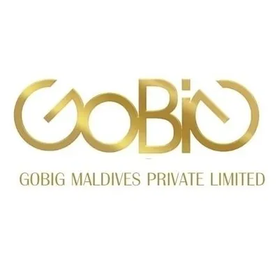 Gobig Maldives Private Limited profile