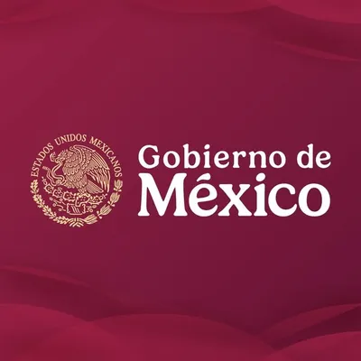 Gobierno de México profile