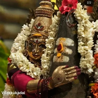 சிவன்மகன்ஶ்ரீ (sms) profile