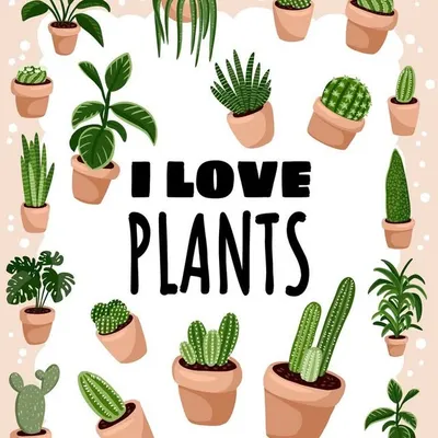 Plant Paradisso profile