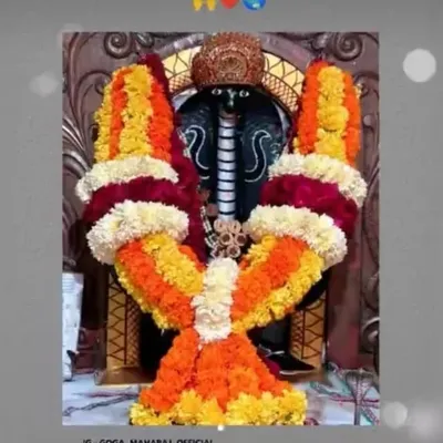 🙏ગોગા ની સરકાર 🙏 profile
