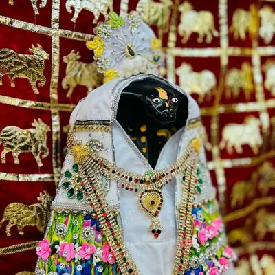 મોડણ લાલાનો મહારાજ (થલતેજ) 🔱 profile