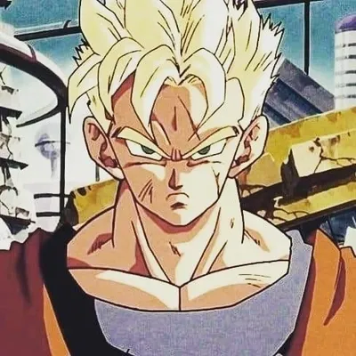 Gohan profile