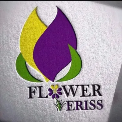 گلفروشی اِریس🌹گرگان profile