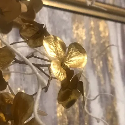 Gold & Bold Interior profile