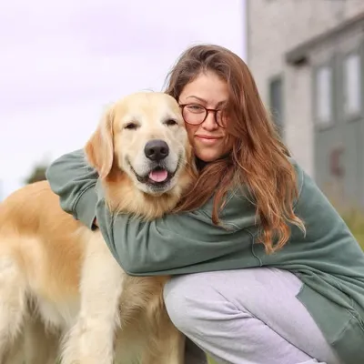 CHILI | GOLDEN RETRIEVER profile