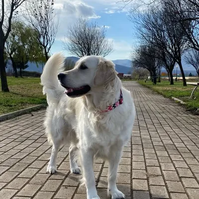 Avra🎀 (Αύρα) profile