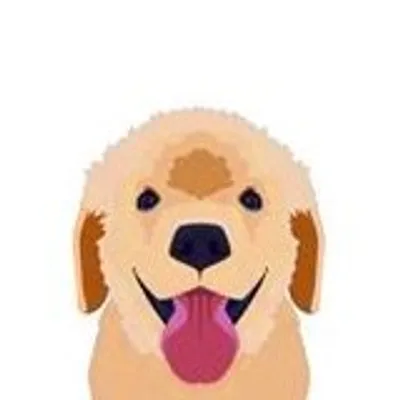 Golden Retrievers profile
