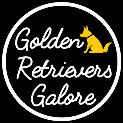 Golden Retrievers Galore profile