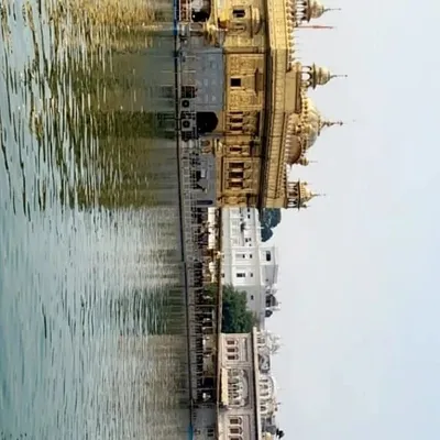 golden temple profile