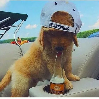 Goldies World™ profile