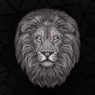 Gold Lion Technologies | A full-service agency profile