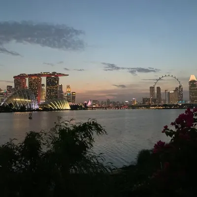 GoLocalSG profile