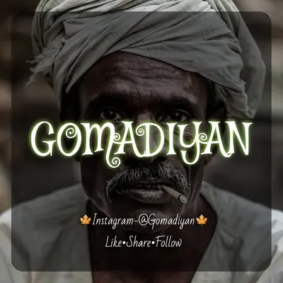 દેશી ગોમડીયન ❤ profile