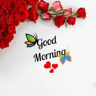 Good Morning profile