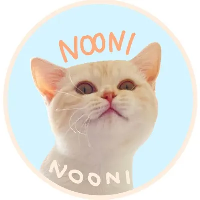 nooni profile