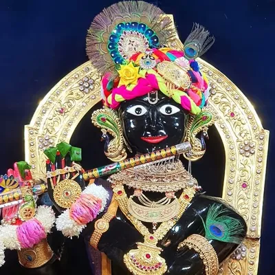 Gopinathji - Gadhpur Dham profile