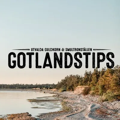 Gotlandspärlor & guldkorn profile